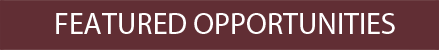 International Medical Placement jobs